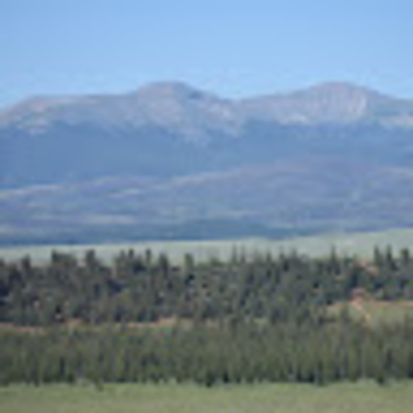 Meet your Posher, Alison - Picture 1 of 1